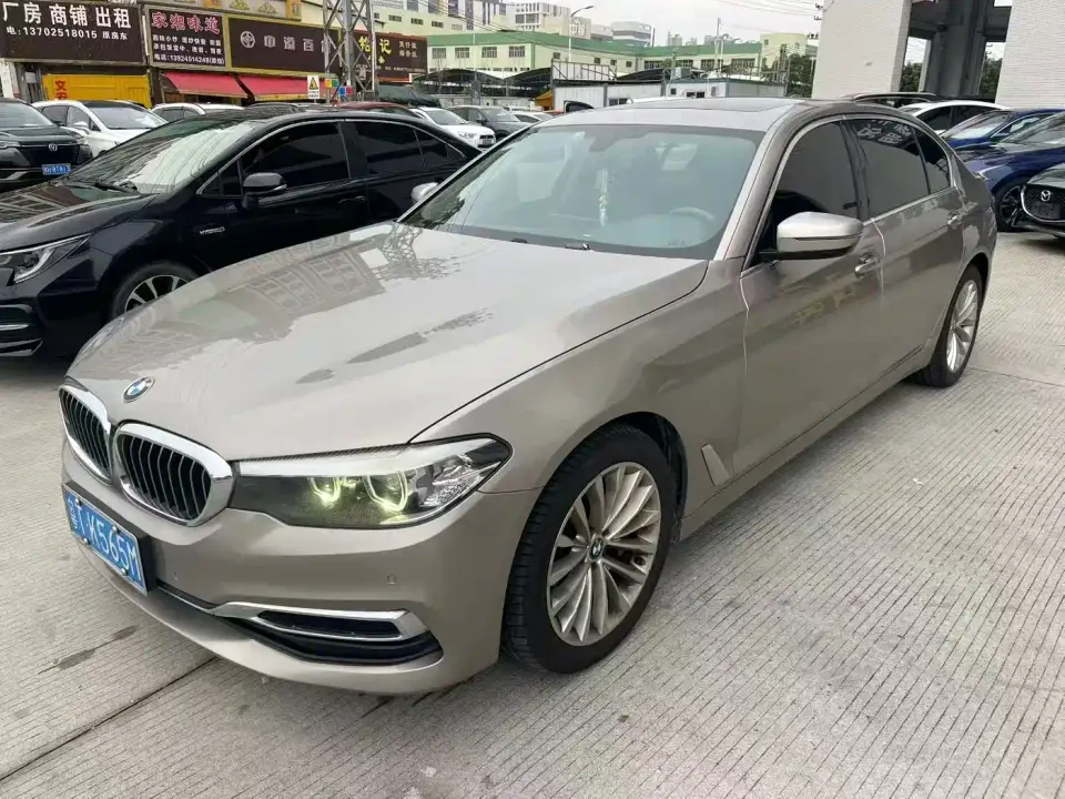 BMW 5 Series 530Li Leading Luxury Package 2019