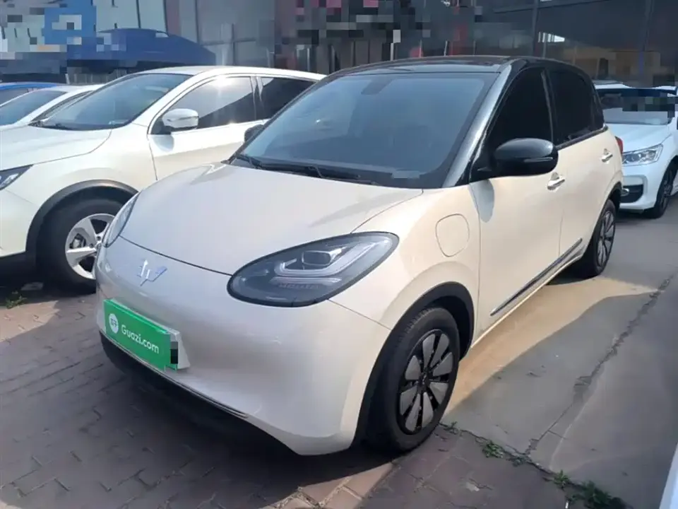 Wuling Motors Wuling Bingo 410km Lingxi Premium Edition 2024