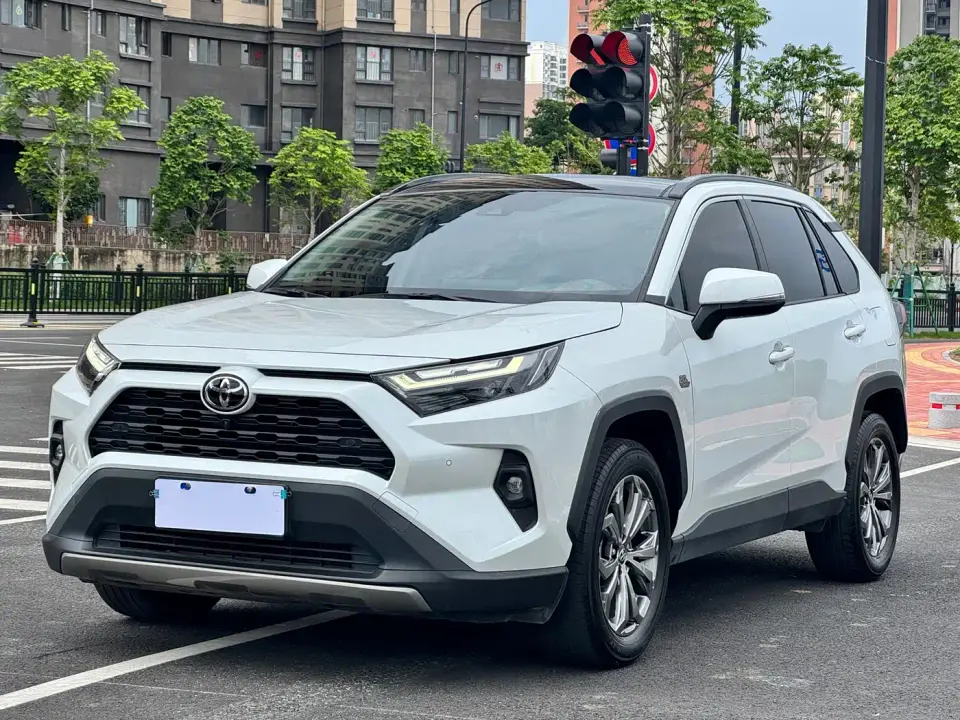 Toyota RAV4 Rongfang 2.0L CVT 2WD 20th Anniversary Platinum Edition 2024