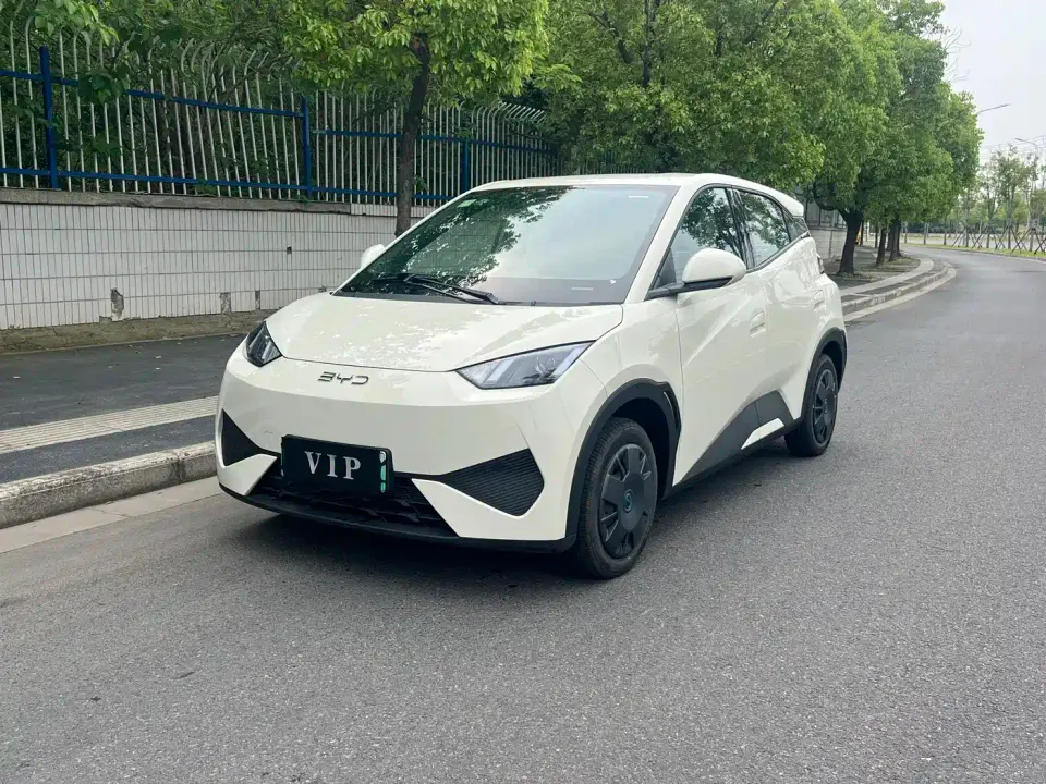 BYD Seagull Smart Drive Edition 305km Vitality Version 2026