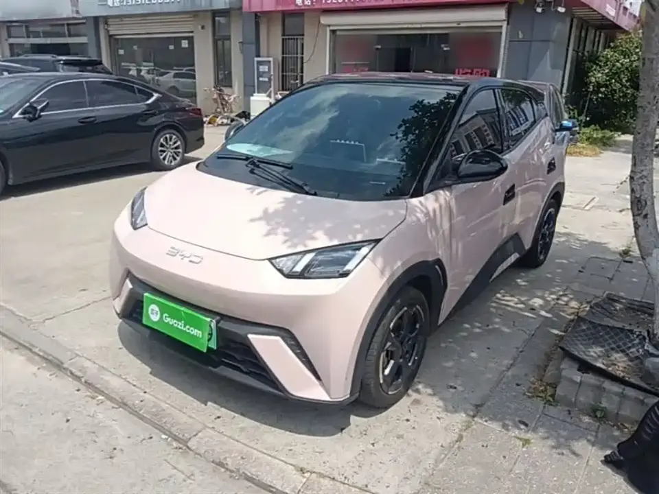 BYD Seagull Glory Edition 305km Freedom Edition 2024