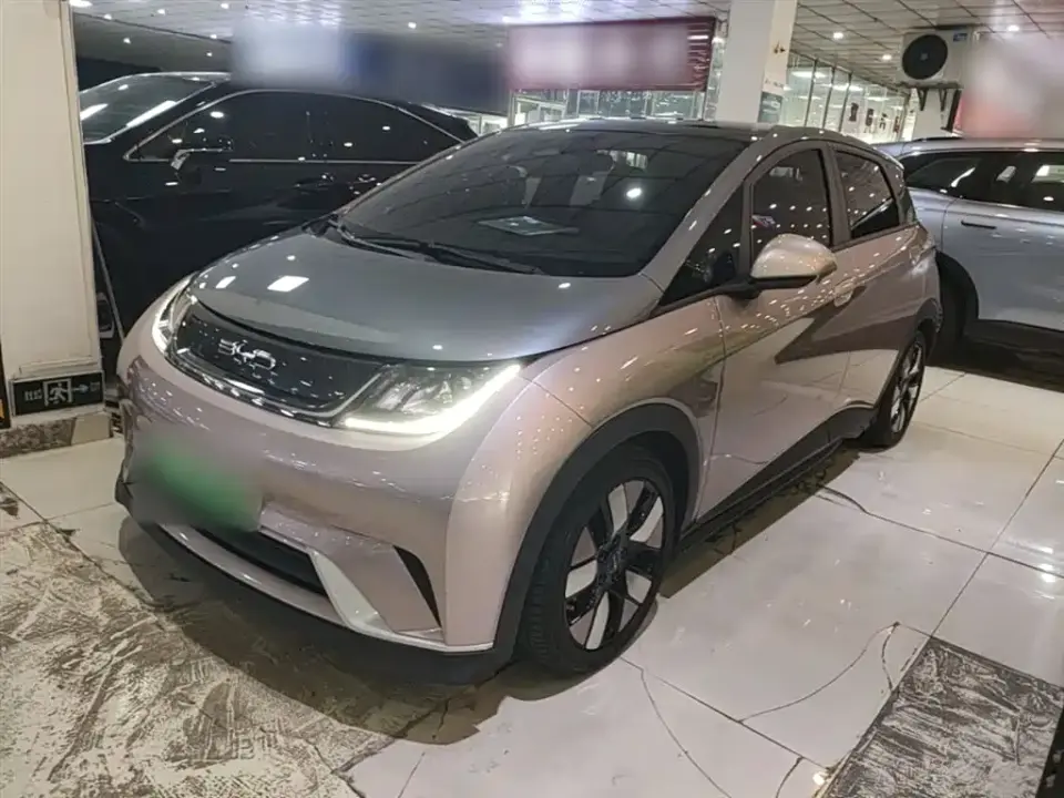 BYD Dolphin 401km Knight Edition 2022