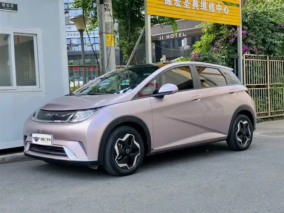 BYD Dolphin Model 405km Fashion Edition 2022
