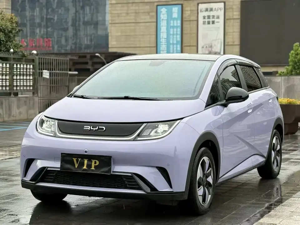BYD Dolphin Glory Edition 420km Fashion Edition 2024