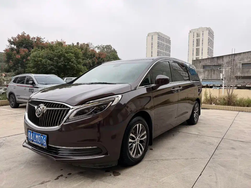 Buick GL8 ES 28T Luxury China V 2019