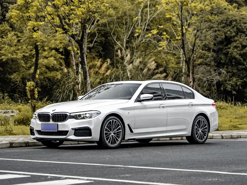 BMW 5 Series Facelift 530Li Leading M Sport Package 2019