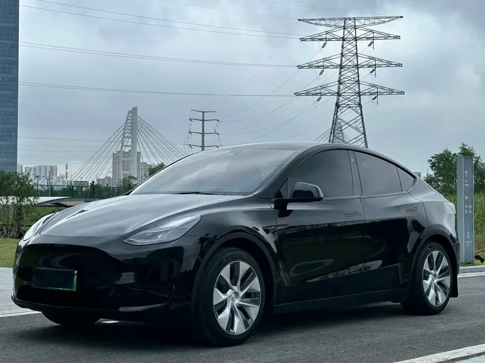 Tesla Model Y Rear-Wheel Drive Version 2022