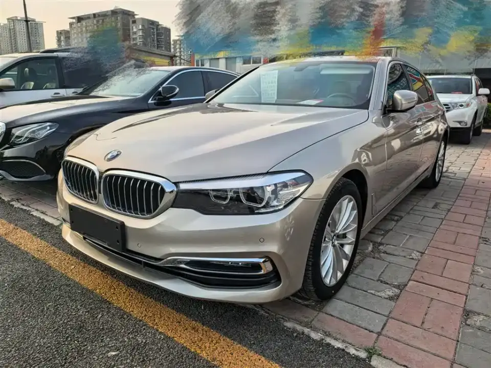 BMW 5 Series 530Li Leading Luxury Package 2019