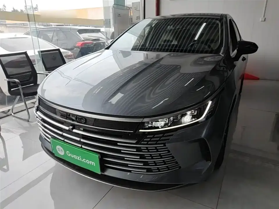 BYD Destroyer 05 Glory Edition DM-i 55KM Luxury 2024