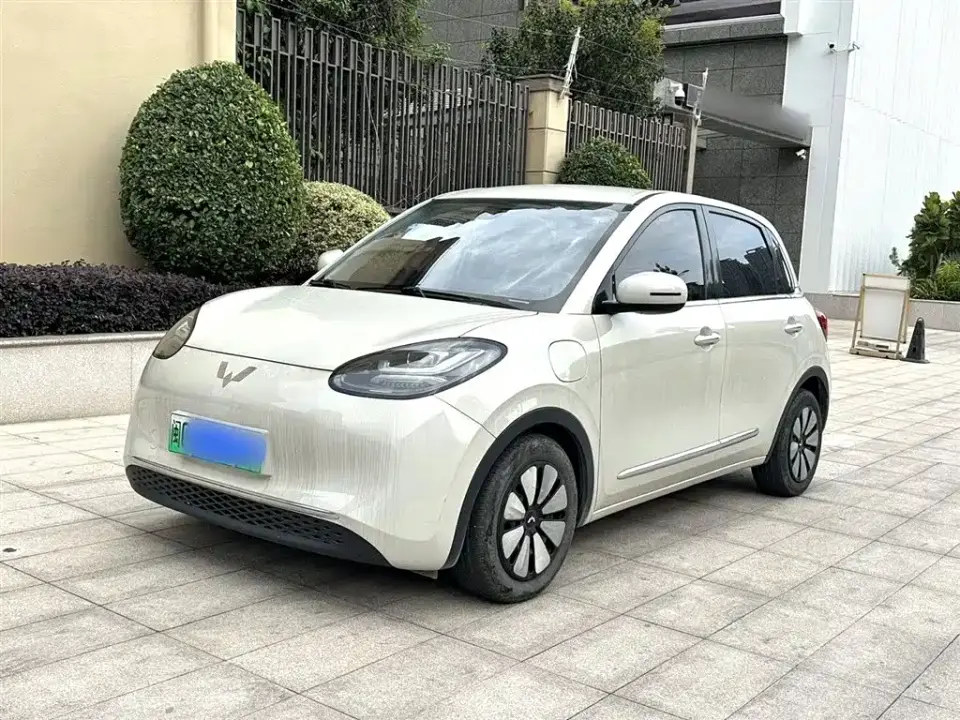 Wuling Motors Wuling Bingo Model 333km Joy+ Version 2024