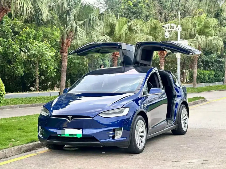Tesla Model X Long Range Version 2020