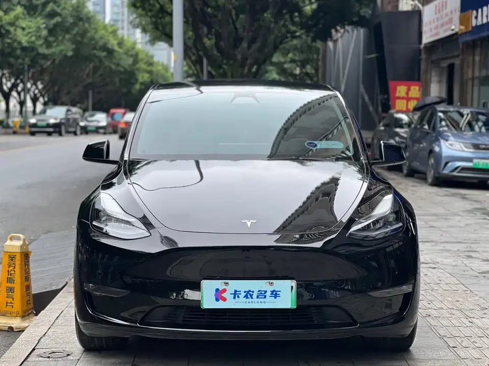 Tesla Model Y Long Range AWD 2022