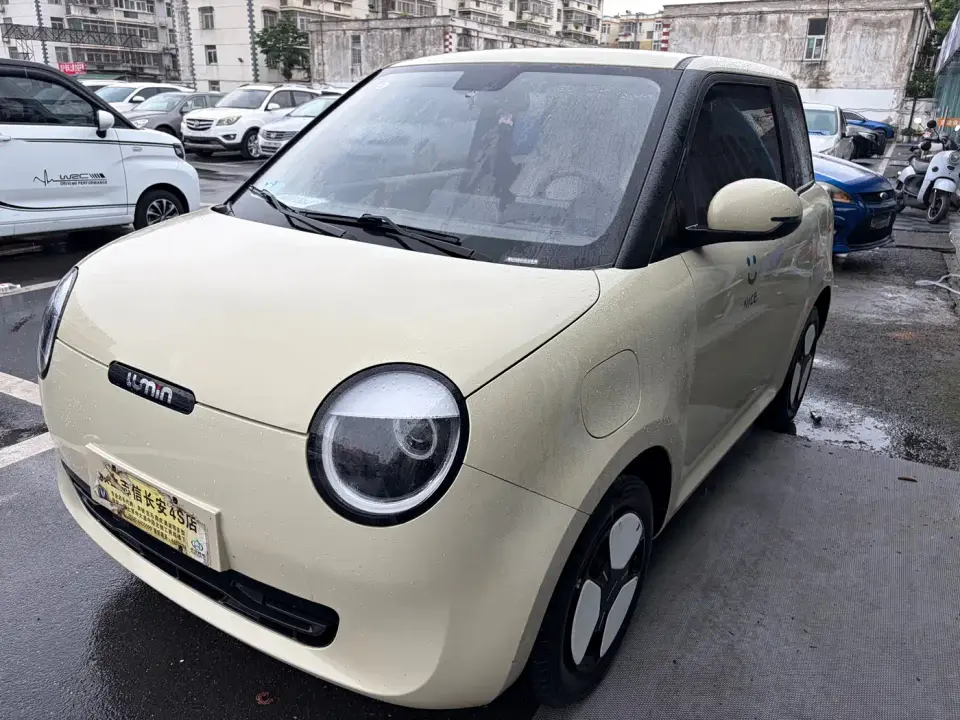 Changan Qiyuan Changan Lumin 210km Sweet Edition 2024