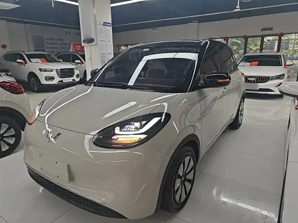 Wuling Motors Wuling Bingo 333km Smart Connect Edition 2024