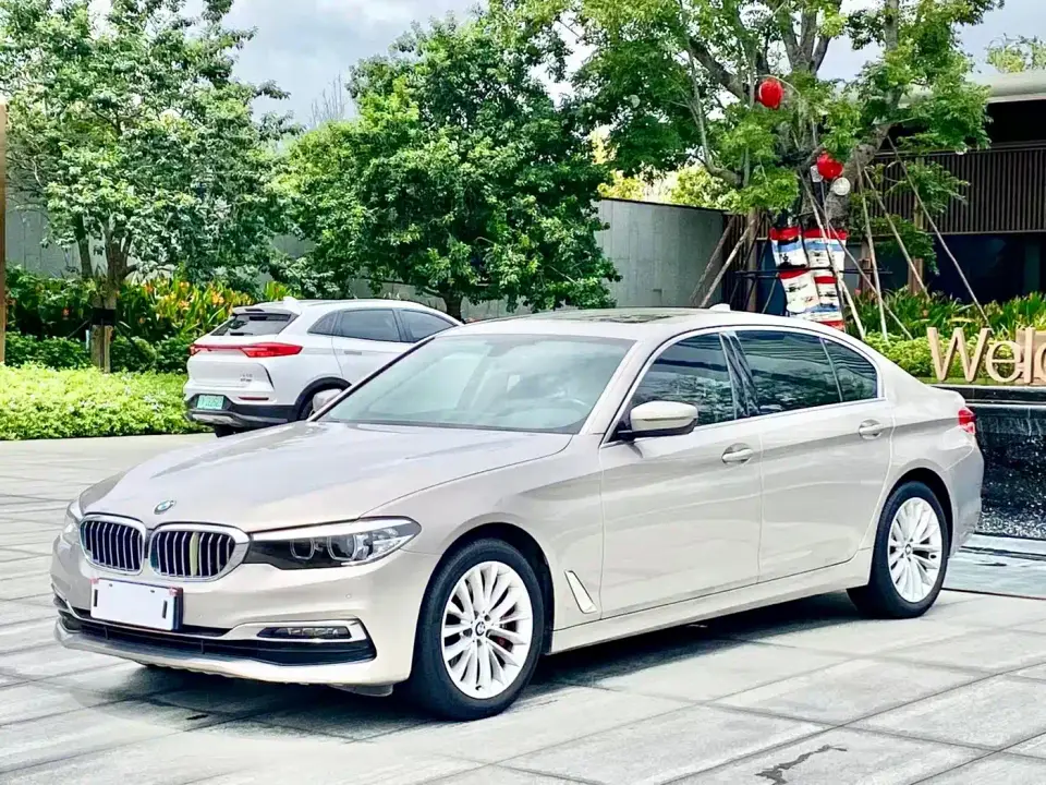 BMW 5 Series 530Li Leading Luxury Package 2019