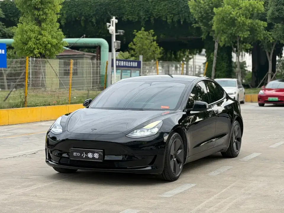 Tesla Model 3 Model Rear-Wheel Drive Version 2022