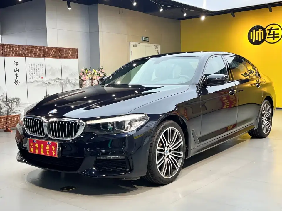 BMW 5 Series 530Li Leading M Sport Package 2019