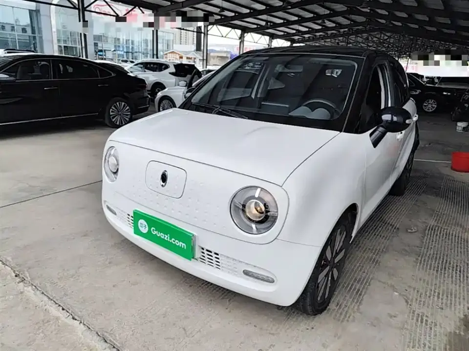 ORA Black Cat 351km Standard Model 2021