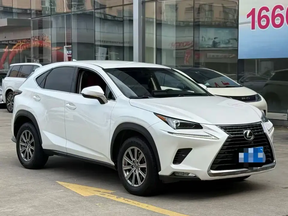 Lexus NX Model 300 FWD Fengxing Edition 2019