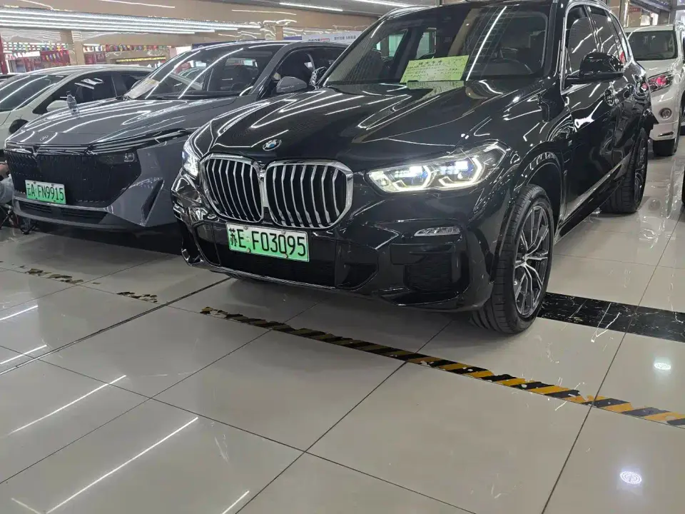 BMW X5 New Energy(Imported) Facelift xDrive45e M Sport Package 2021