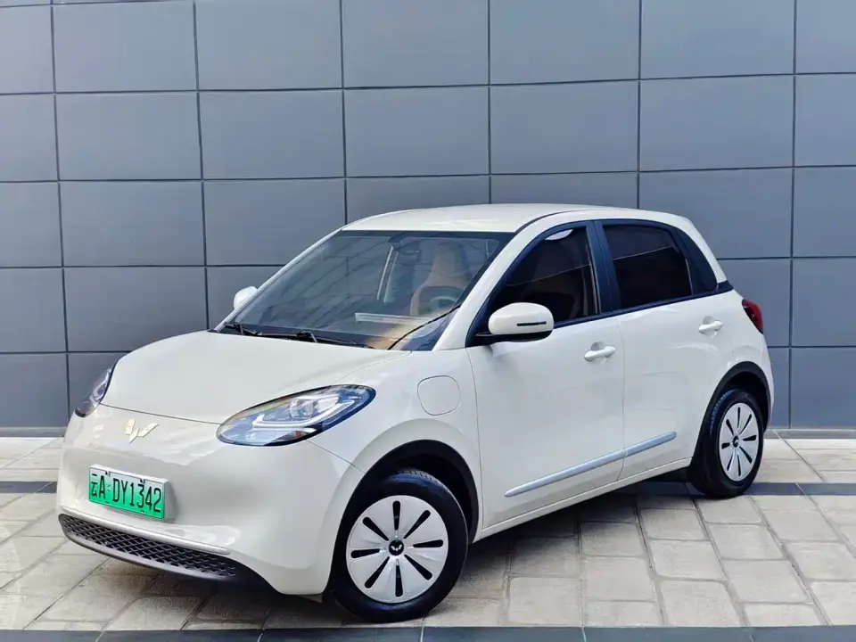 Wuling Motors Wuling Bingo 333km Quick Enjoy Version 2023