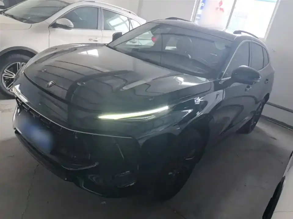 Dongfeng Fengxing Fengxing T5 EVO 1.5TD DCT Starlight Edition 2022