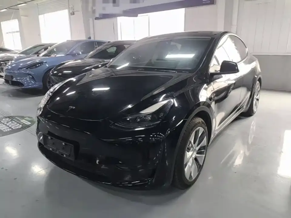 Tesla Model Y Rear-Wheel Drive Version 2022