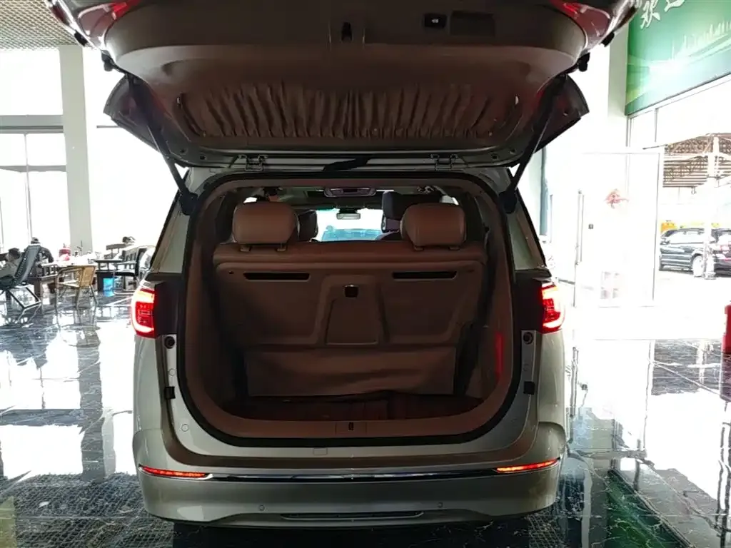 Buick GL8 ES Landlord 653T Premium 2021 — фото 19