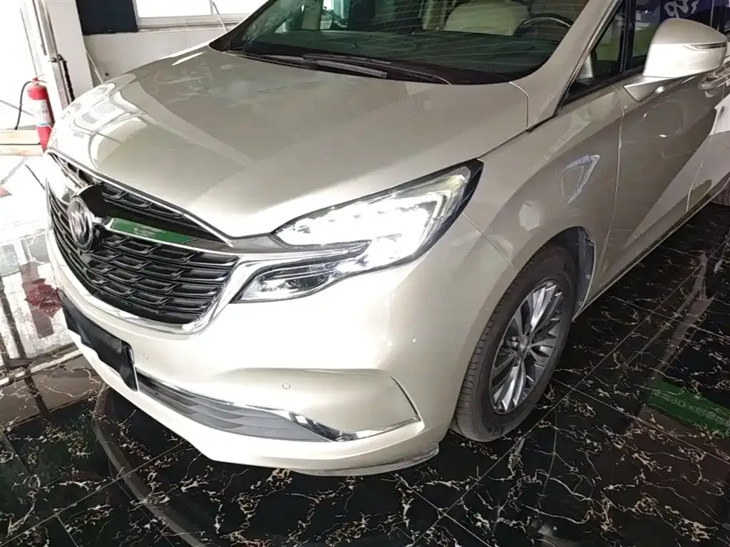 Buick GL8 ES Landlord 653T Premium 2021 — фото 24