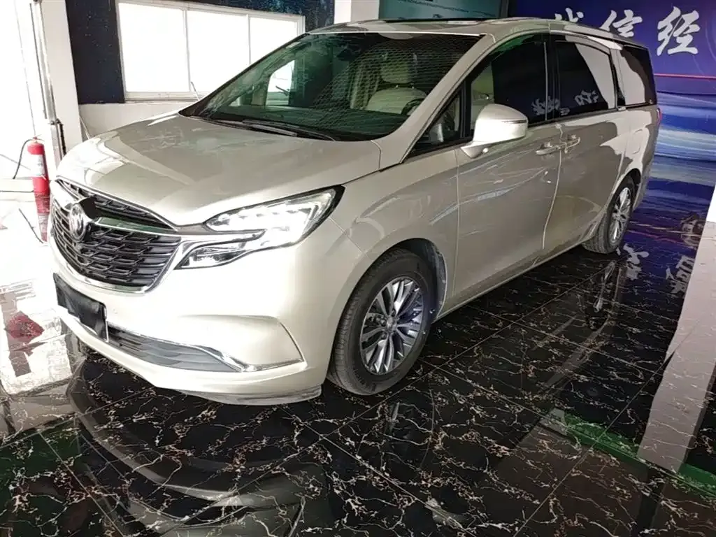 Buick GL8 ES Landlord 653T Premium 2021 — фото 2