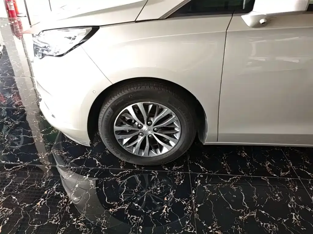 Buick GL8 ES Landlord 653T Premium 2021 — фото 23