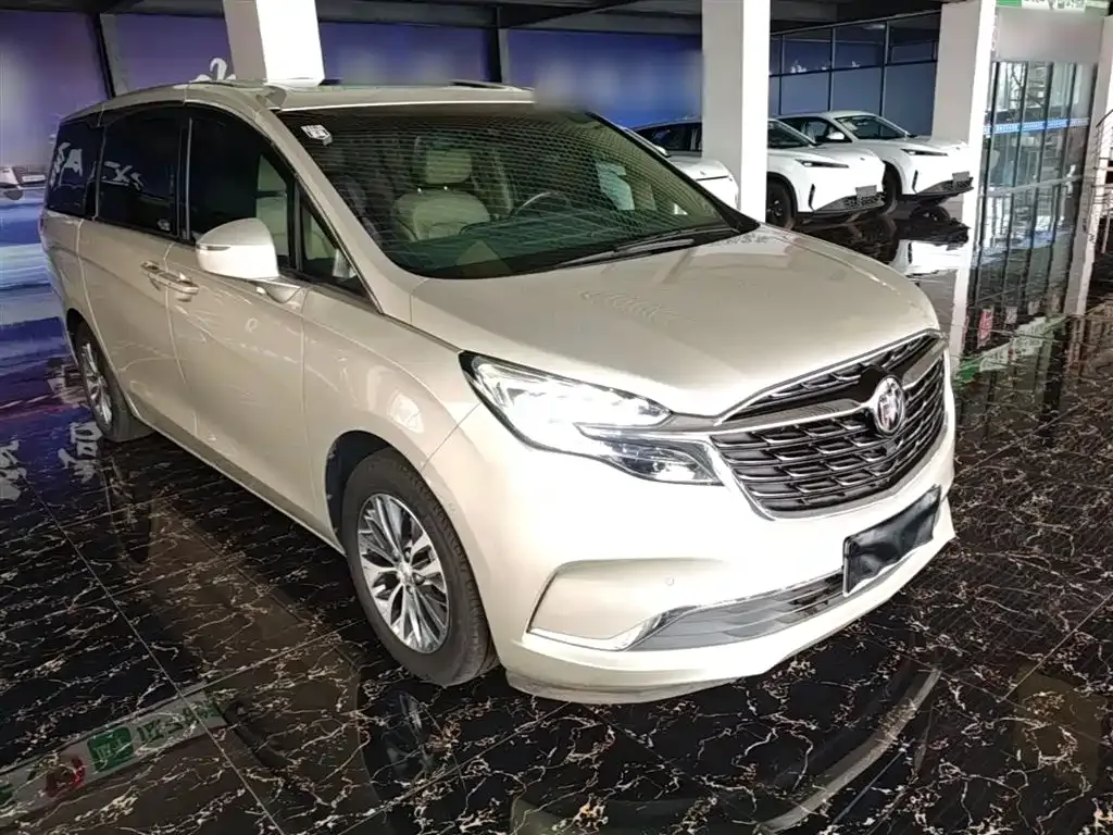 Buick GL8 ES Landlord 653T Premium 2021 — фото 4