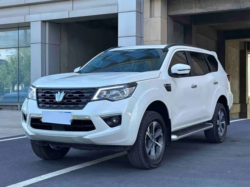 Dongfeng Fengdu Paladin 2.0T AWD Ultimate Edition 2024
