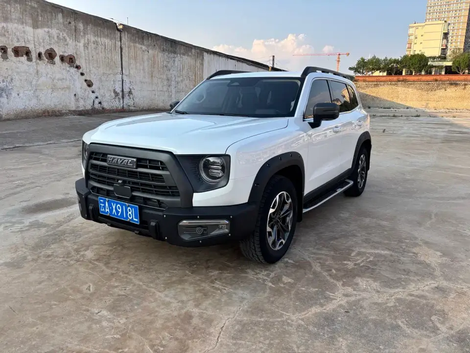 Haval Big Dog 2.0T DCT 4WD Chinese Rural Dog Hunting Edition 2023