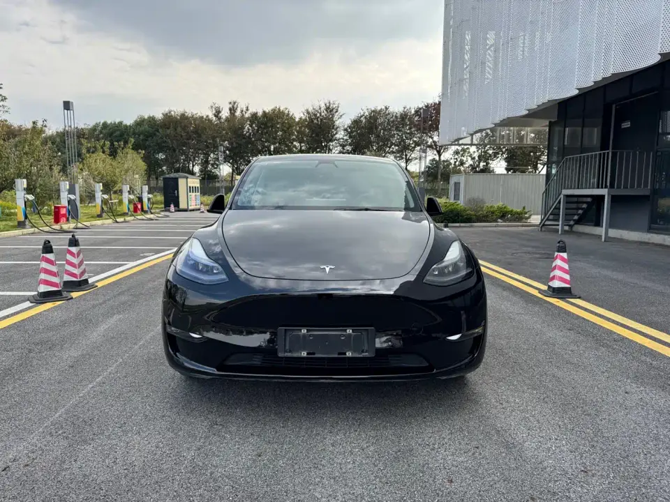 Tesla Model Y Standard Range Rear-Wheel Drive 2021