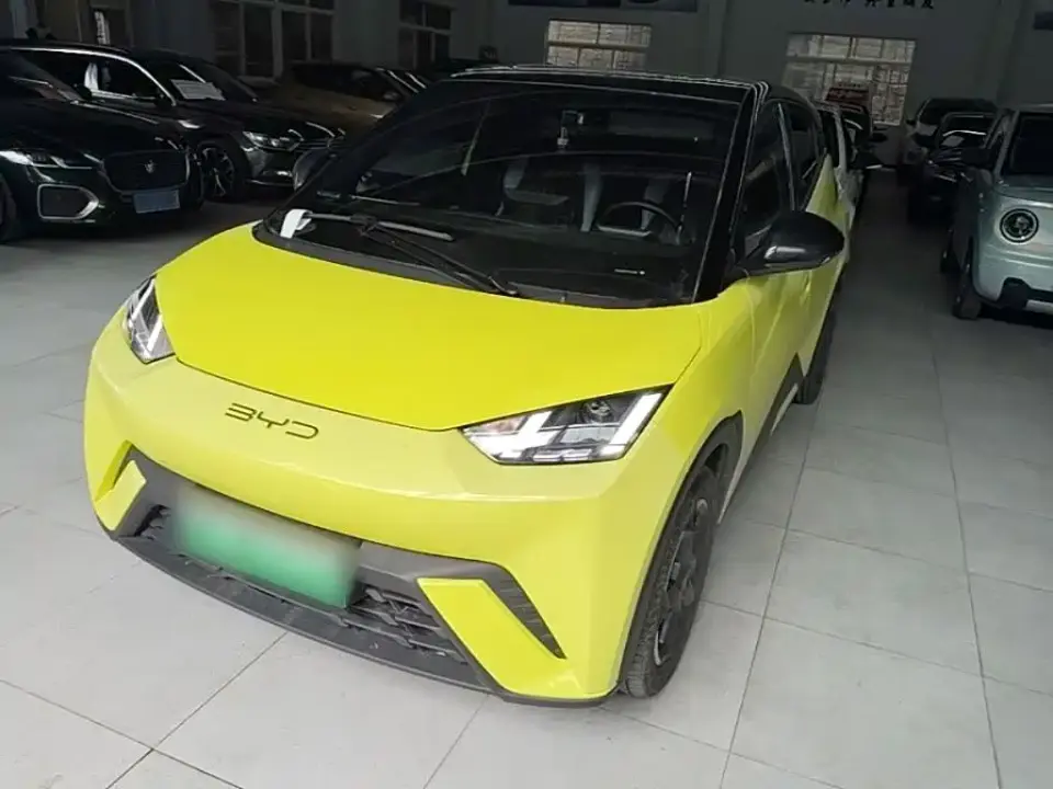 BYD Seagull Flying Edition 2024