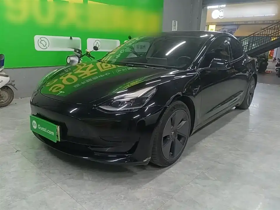 Tesla Model 3 Standard Range Rear-Wheel Drive Upgrade 3D6 2021