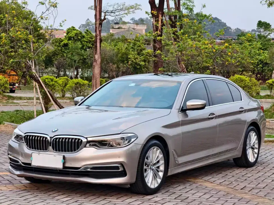 BMW 5 Series 530Li Leading Luxury Package 2020