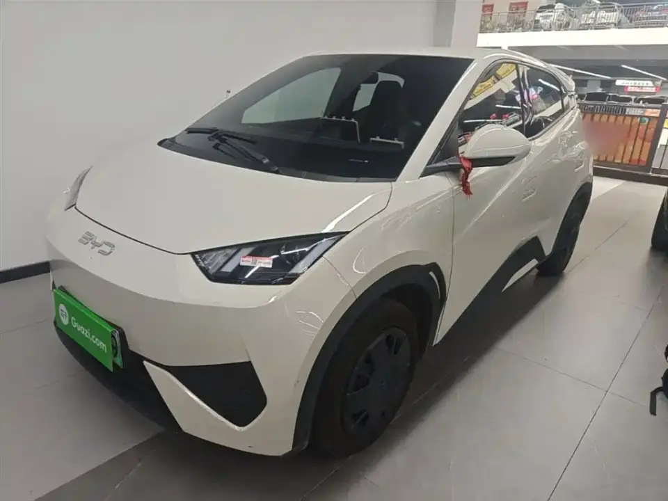 BYD Seagull Smart Drive Edition 305km Vitality Version 2025