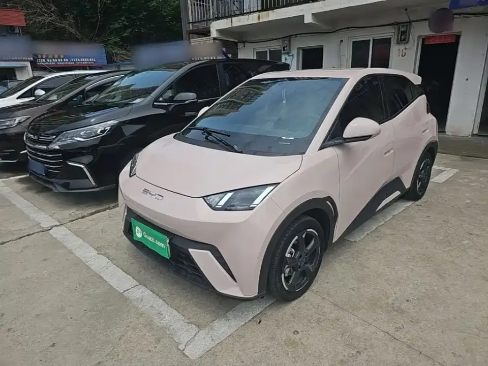 BYD Seagull Freedom Edition 2023