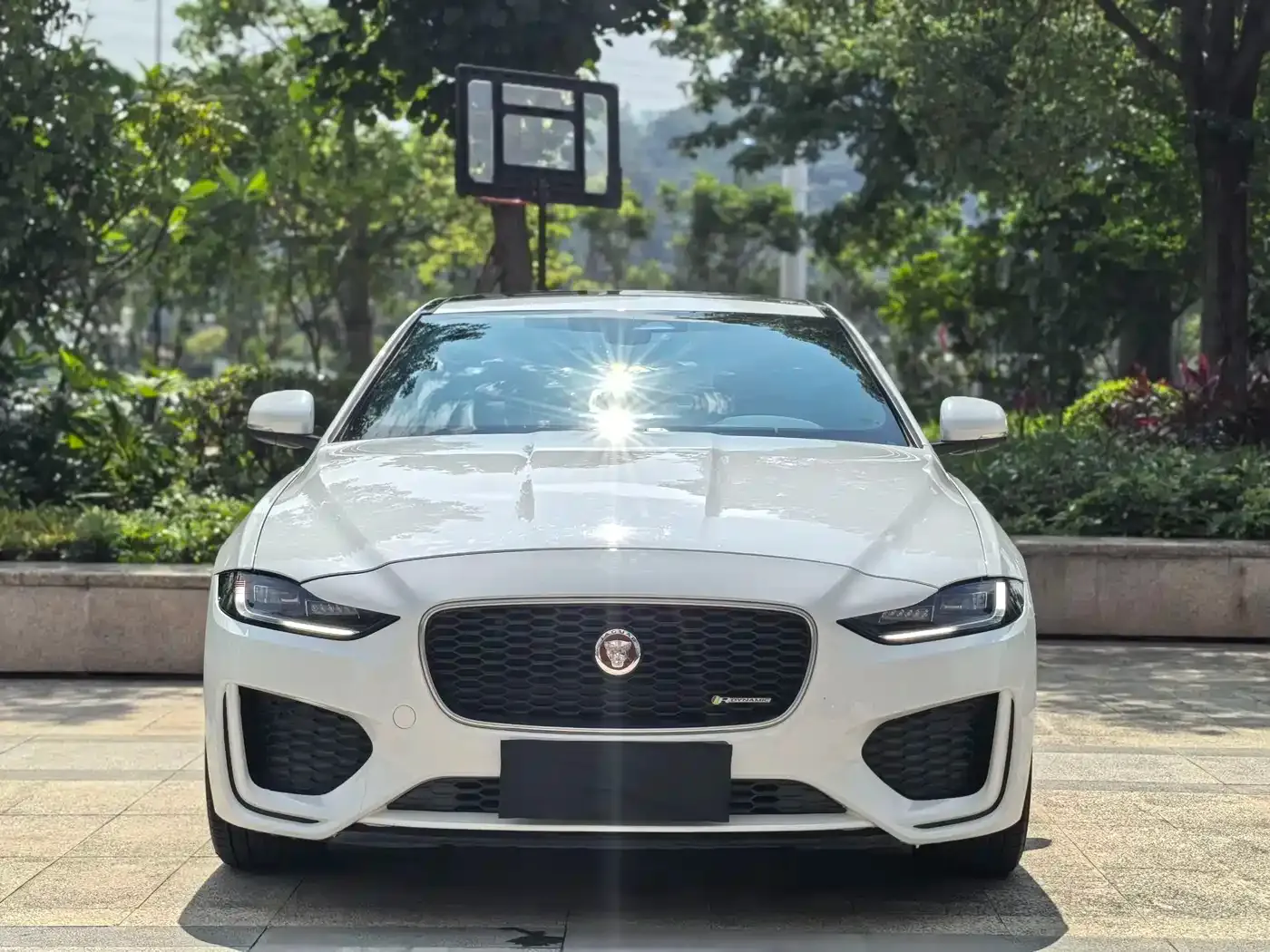 Jaguar XEL 2.0T 250PS R-DYNAMIC S Progressive Sport 2023 — фото 2