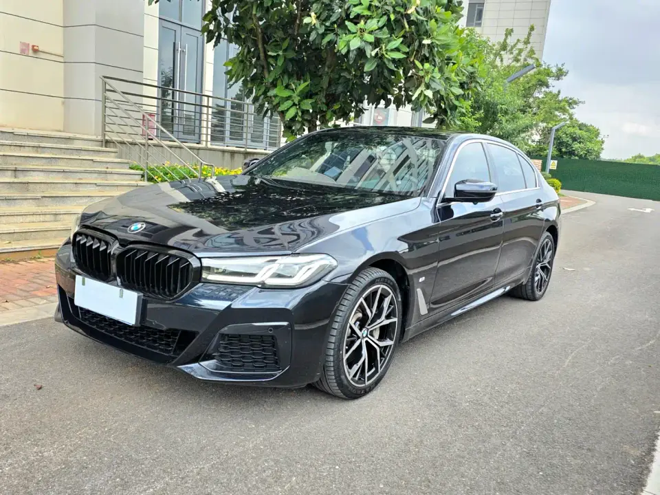 BMW 5 Series 530Li Leading M Sport Package 2020