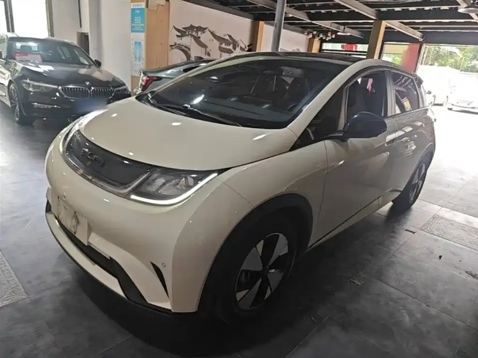 BYD Dolphin 420km Fashion Edition 2023