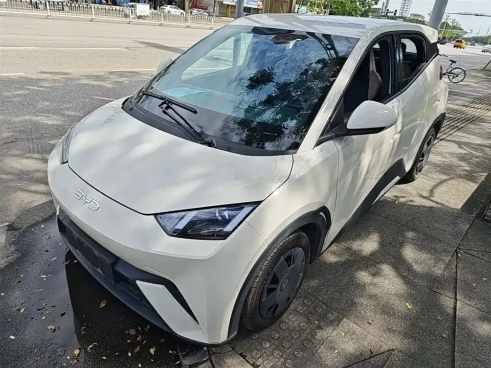 BYD Seagull Glory Edition 305km Vitality Edition 2024