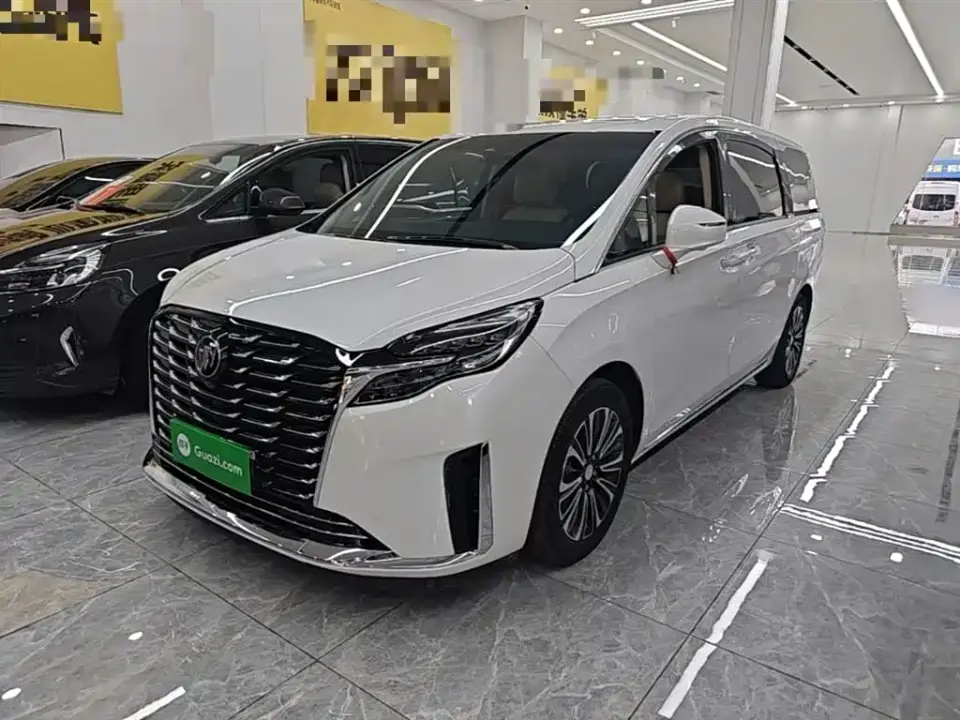 Buick GL8 ES Landmaster Luxury 2023