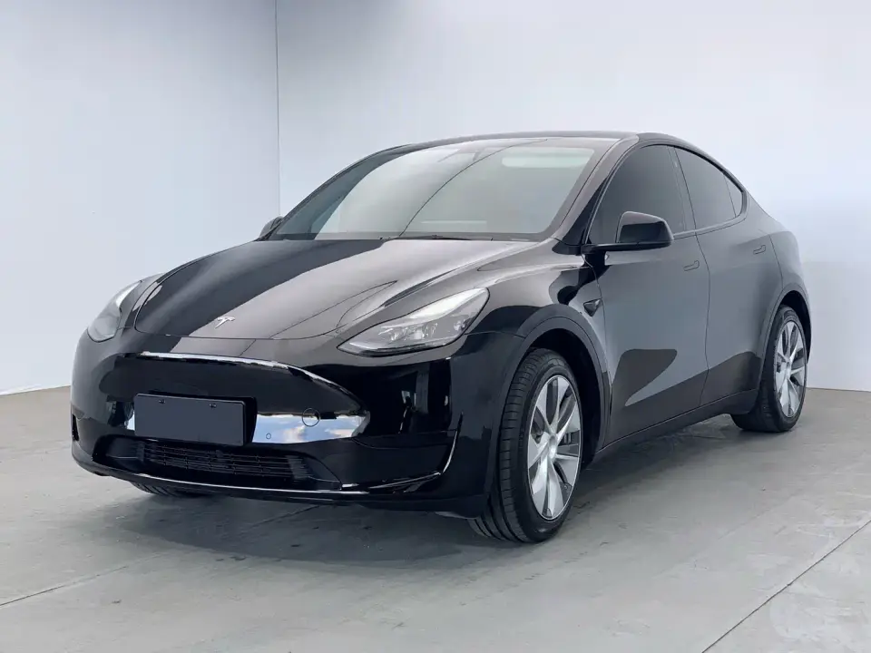 Tesla Model Y Rear-Wheel Drive Version 2022