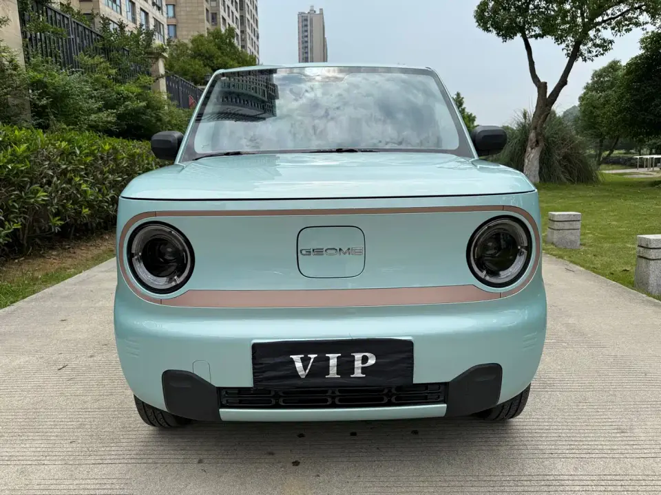 Geely Galaxy Panda Panda mini 200km Endurance Bear 2024