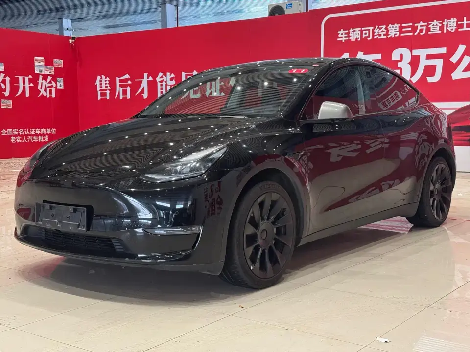 Tesla Model Y Long Range All-Wheel Drive Edition 2024