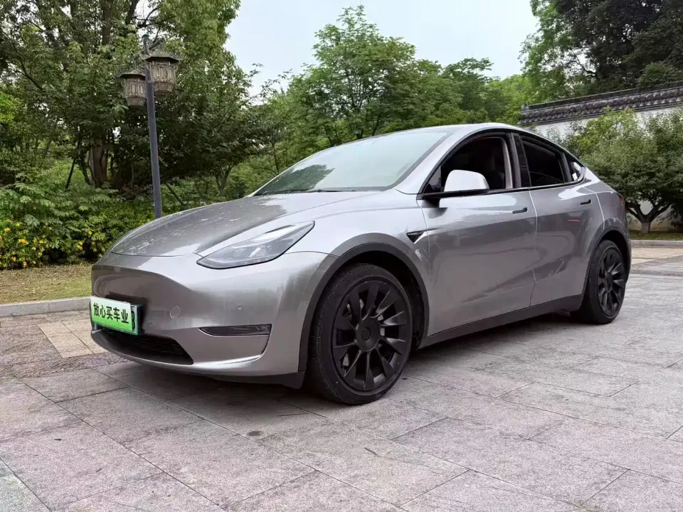 Tesla Model Y Model Long Range AWD 2021