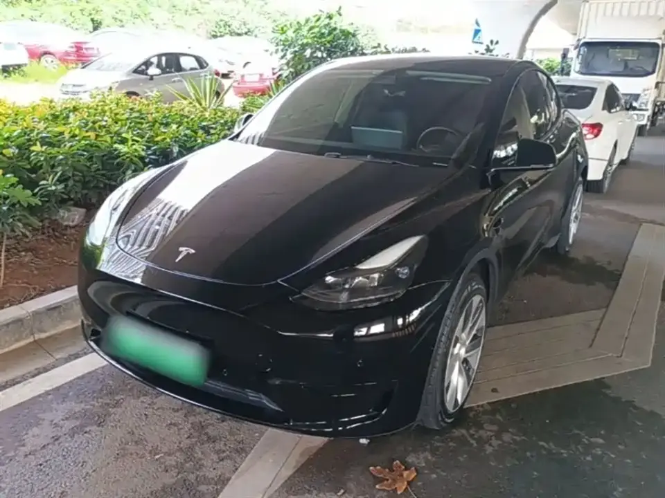 Tesla Model Y Rear-Wheel Drive Version 2022